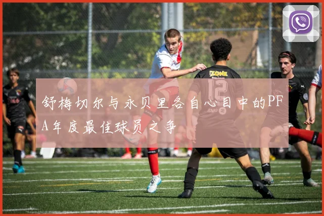 舒梅切尔与永贝里各自心目中的PFA年度最佳球员之争